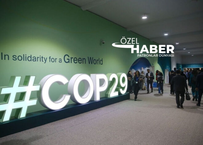 COP29 Zirvesi’nde iklim krizi mücadelesi, Türk uzman PD’ye değerlendirdi